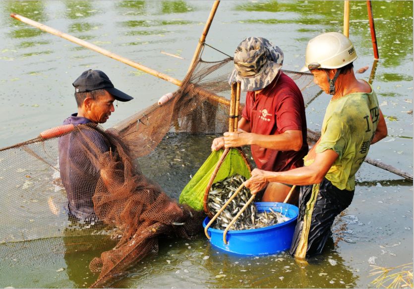 别拦我我要回家图片,别拦我我要回家