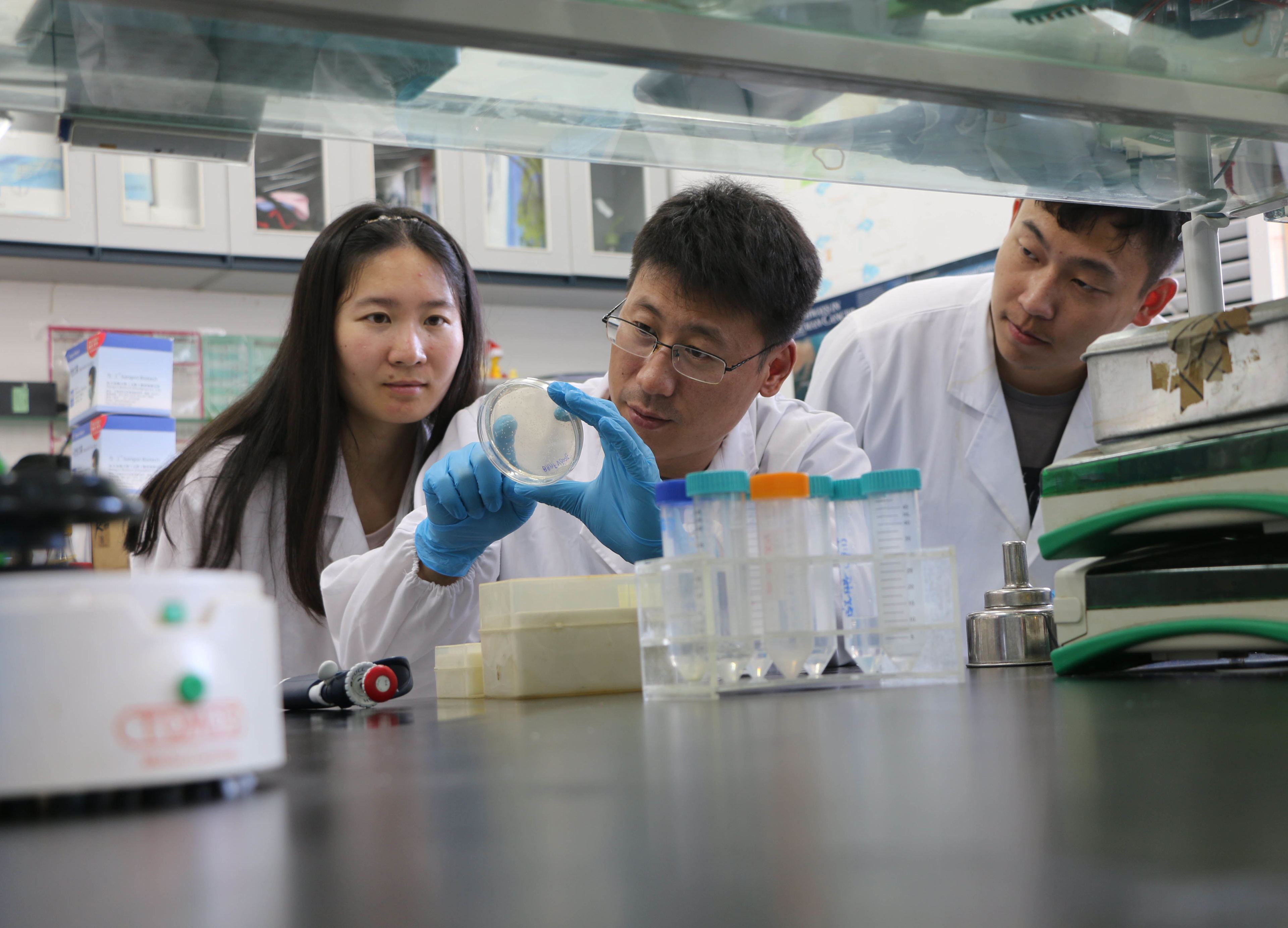 印度药与中国药对比,印度仿制药质量到底如何