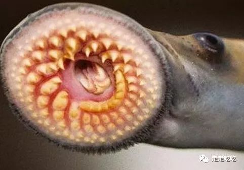 巴塞罗那｜买好饭票去巴塞罗那——Tickets