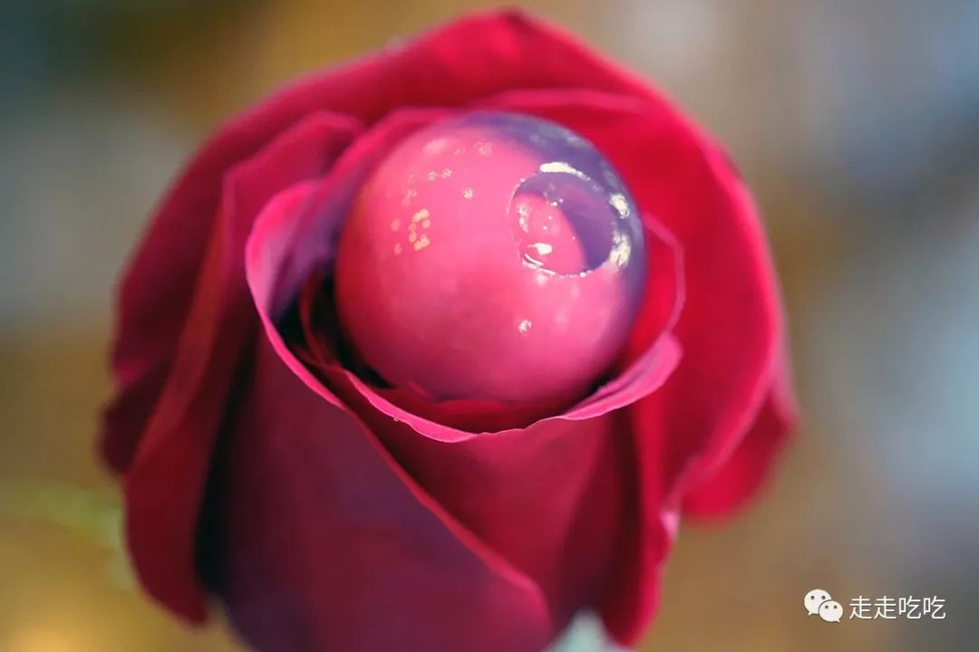 巴塞罗那｜买好饭票去巴塞罗那——Tickets