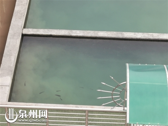 我们喝的自来水安全吗,我们喝的自来水都有药吗