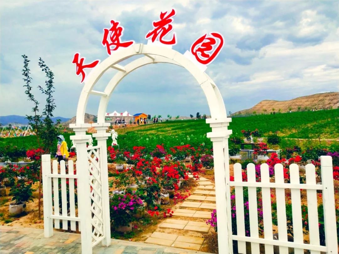 白银市区到大坪花海,去大坪玩攻略