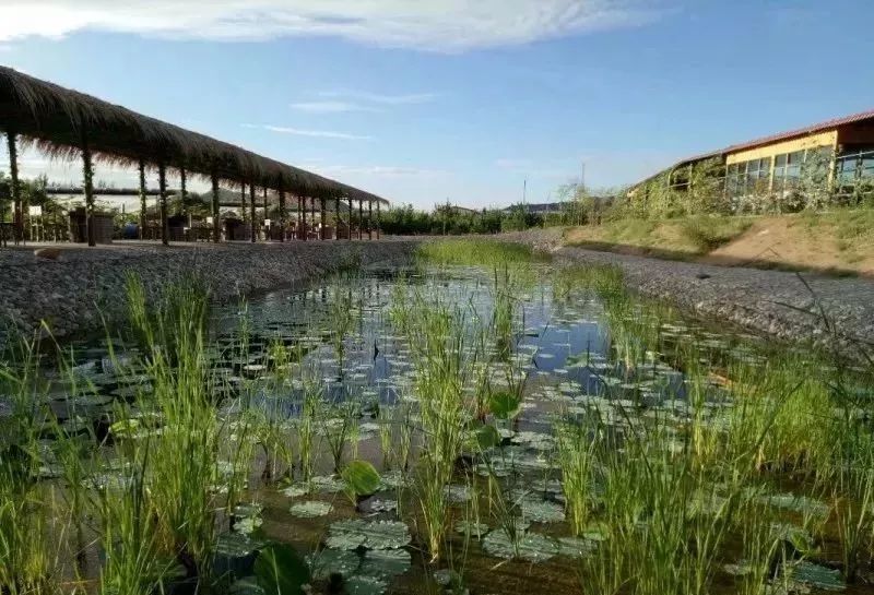 白银市区到大坪花海,去大坪玩攻略
