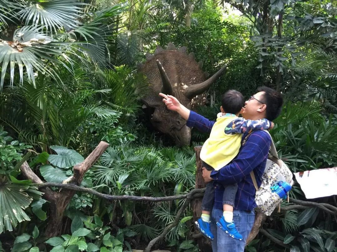 珠海长隆亲子游吃玩住行,长隆动物园攻略亲子游