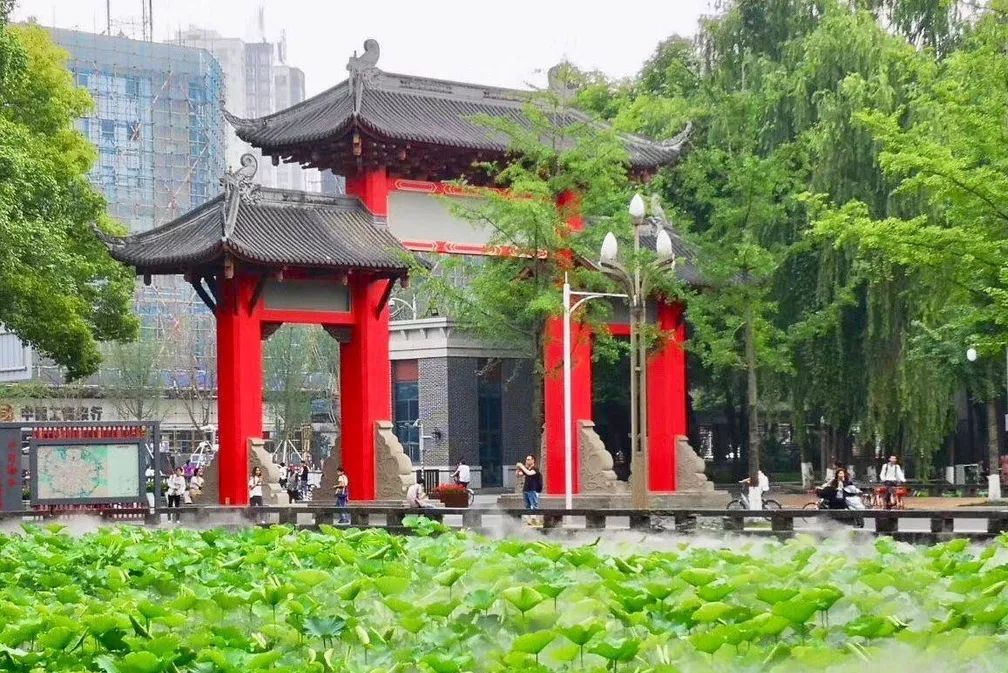 仙气荷池、时光走廊、滨湖绿道……川大持续惊艳焕颜！同学：这是仙境吗？