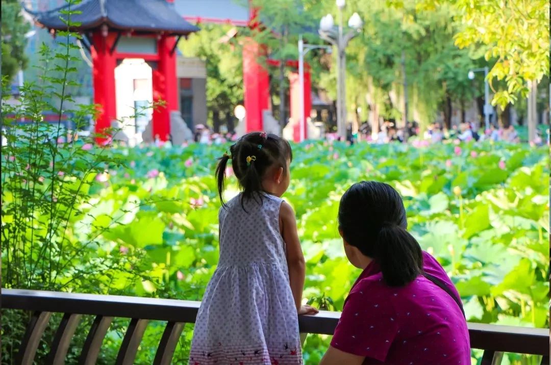 仙气荷池、时光走廊、滨湖绿道……川大持续惊艳焕颜！同学：这是仙境吗？