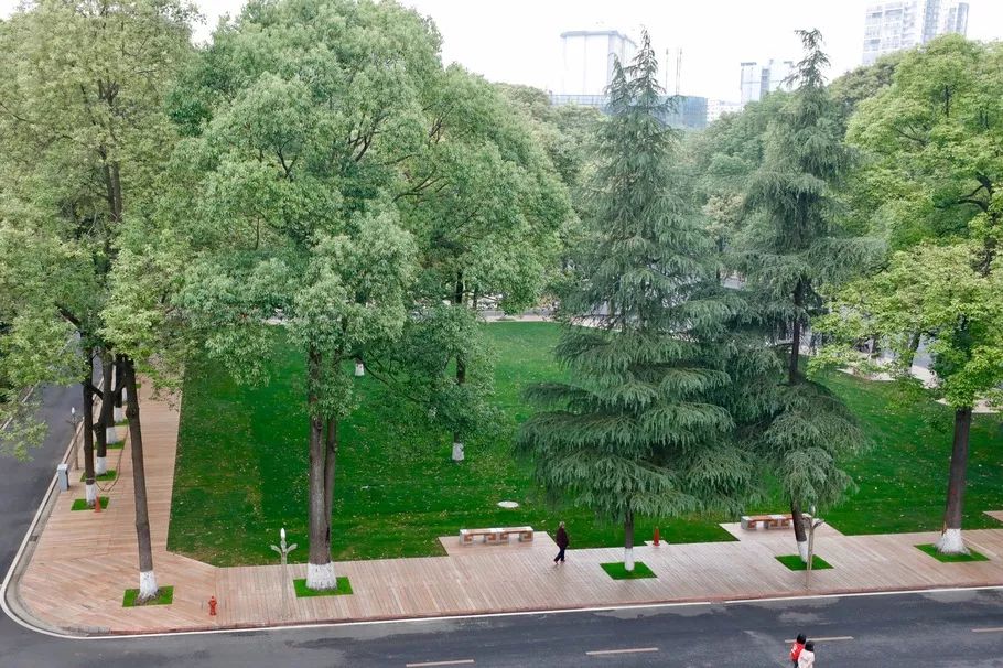 仙气荷池、时光走廊、滨湖绿道……川大持续惊艳焕颜！同学：这是仙境吗？