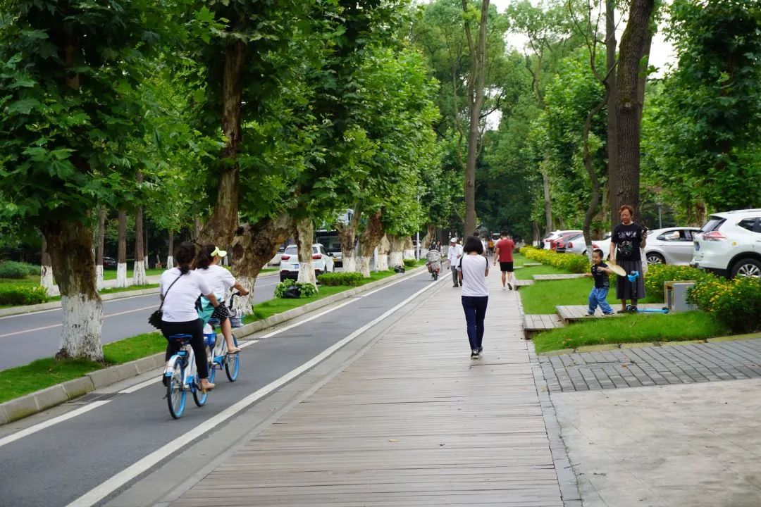 仙气荷池、时光走廊、滨湖绿道……川大持续惊艳焕颜！同学：这是仙境吗？