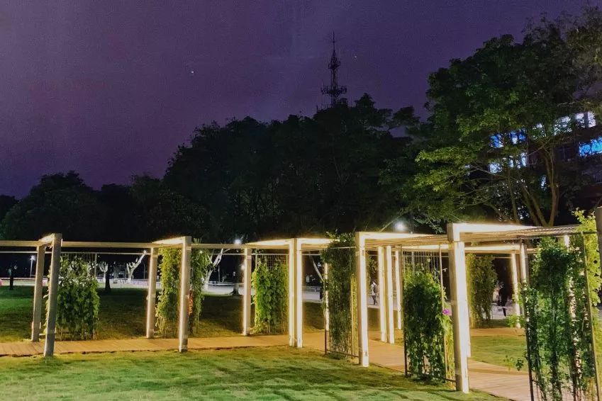 仙气荷池、时光走廊、滨湖绿道……川大持续惊艳焕颜！同学：这是仙境吗？