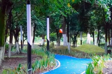 仙气荷池、时光走廊、滨湖绿道……川大持续惊艳焕颜！同学：这是仙境吗？