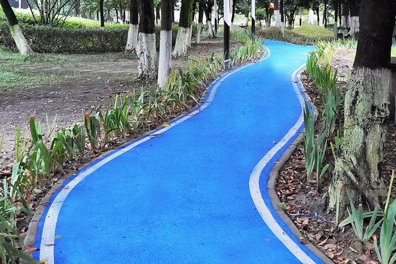 仙气荷池、时光走廊、滨湖绿道……川大持续惊艳焕颜！同学：这是仙境吗？