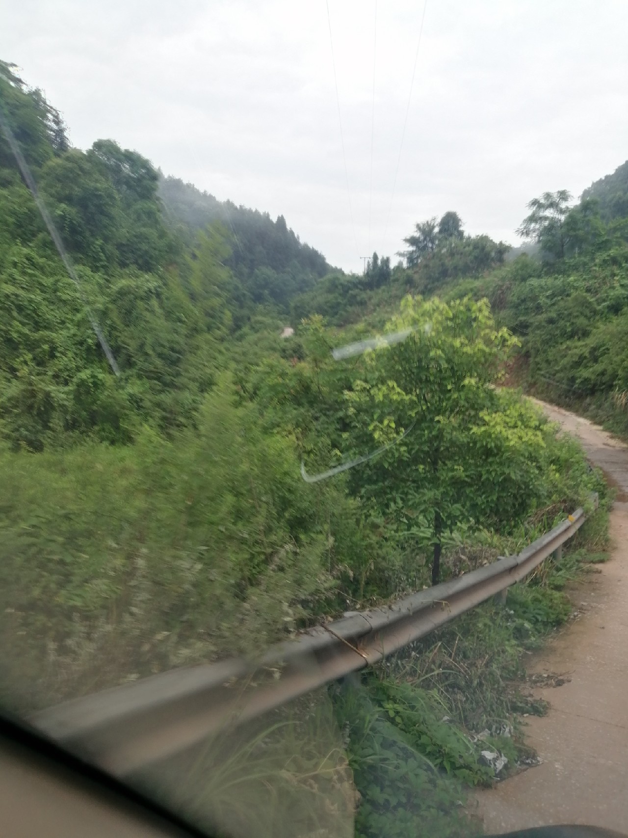 海竿篇：吟龙剑岀鞘擒鲢显风骚