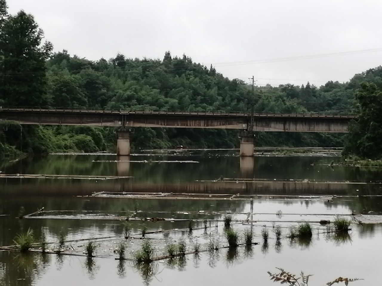 海竿篇：吟龙剑岀鞘擒鲢显风骚