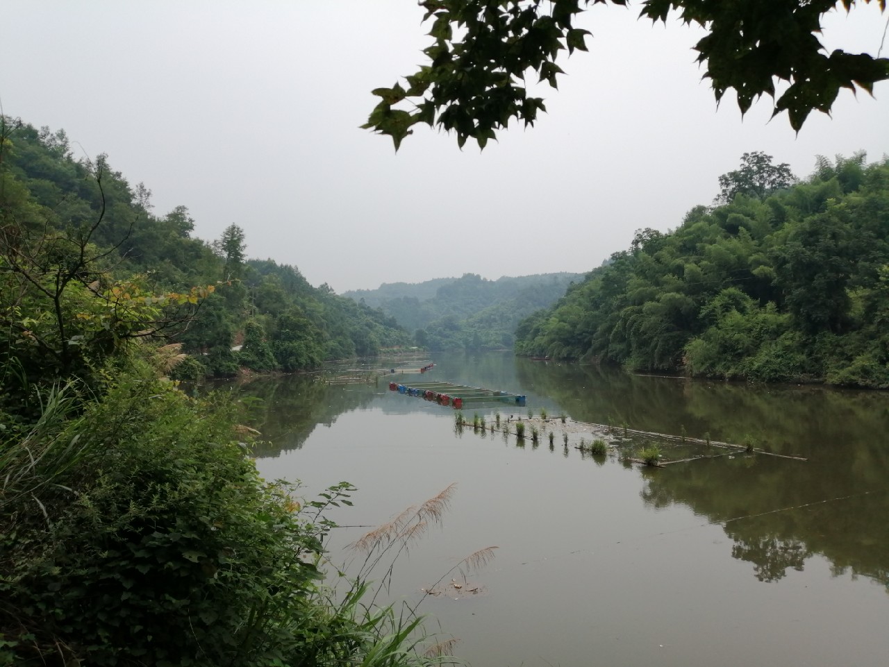 海竿篇：吟龙剑岀鞘擒鲢显风骚