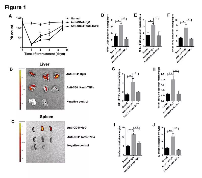 2019ISTH|原发免疫性血小板减少症的治疗探索：TNF-α阻断