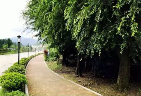 可以大快朵颐的野生溪鱼，矿物质养生的古温泉！杭州这个村还美成一幅画…