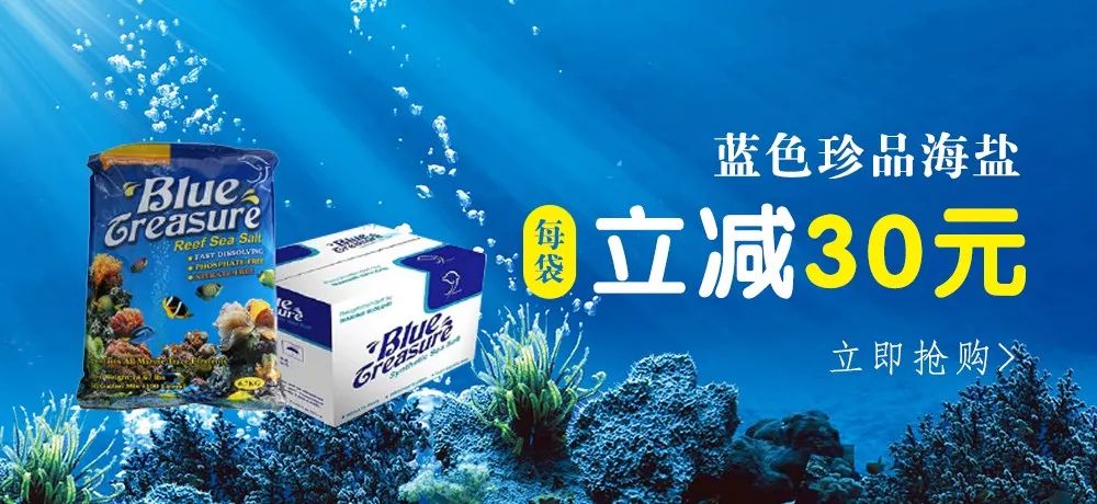 sps海缸ph多少最佳,海缸sps要多久才能下