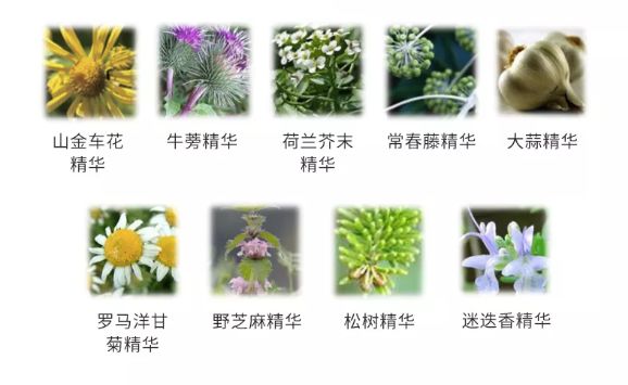 好物|花上千块做护理，在家却用烂大街牌洗发水虐待自己