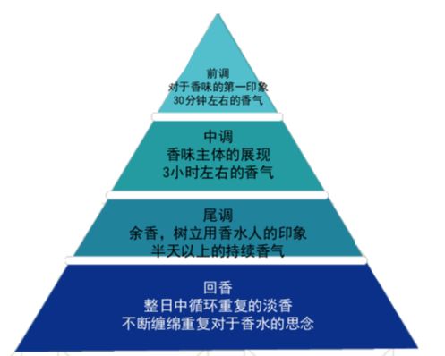 好物|花上千块做护理，在家却用烂大街牌洗发水虐待自己