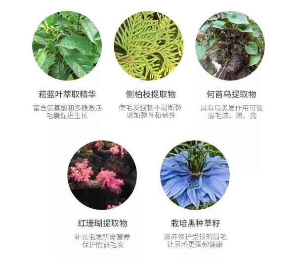 纹眉一周后眉毛还没完全掉痂,纹眉之后我的眉毛不长了