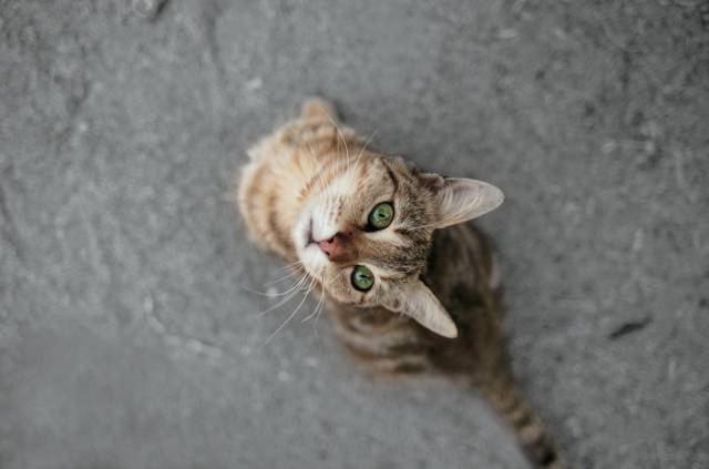 拍照模糊如何去掉,拍照模糊怎么办