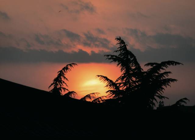 拍照模糊如何去掉,拍照模糊怎么办