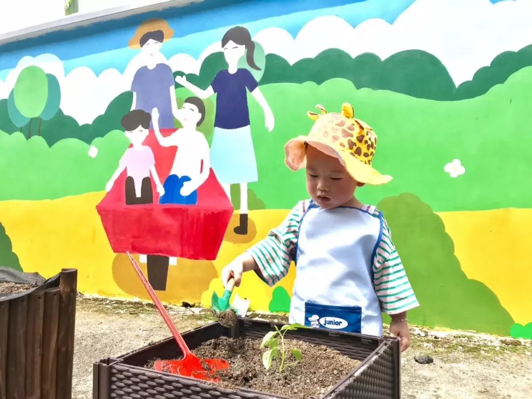 宁波柏悦暑期钜惠￥1200+起/晚,享下午茶+水果采摘+航海体验超棒亲子体验！【浙里好玩】