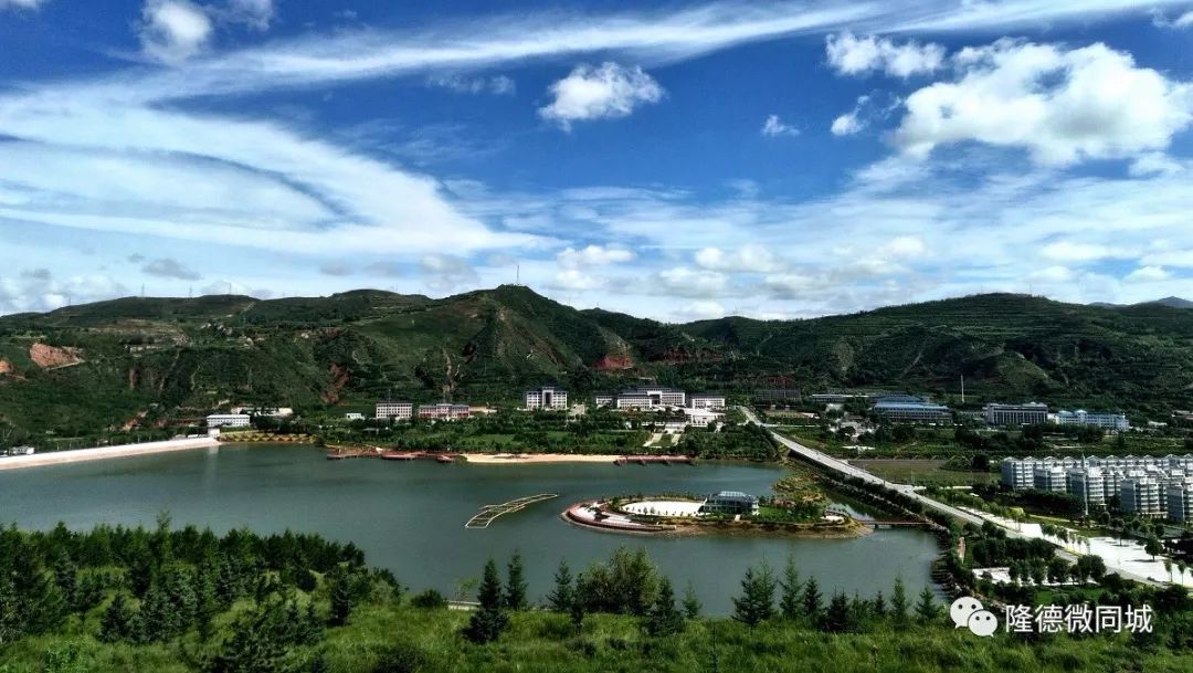 隆德电玩时代的抓“五子”“狼吃娃娃”你知道是什么吗？