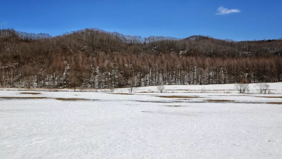 日本最后的秘境,日本最北端北海道