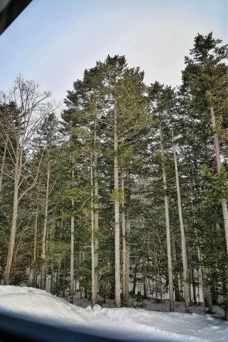 日本最后的秘境,日本最北端北海道
