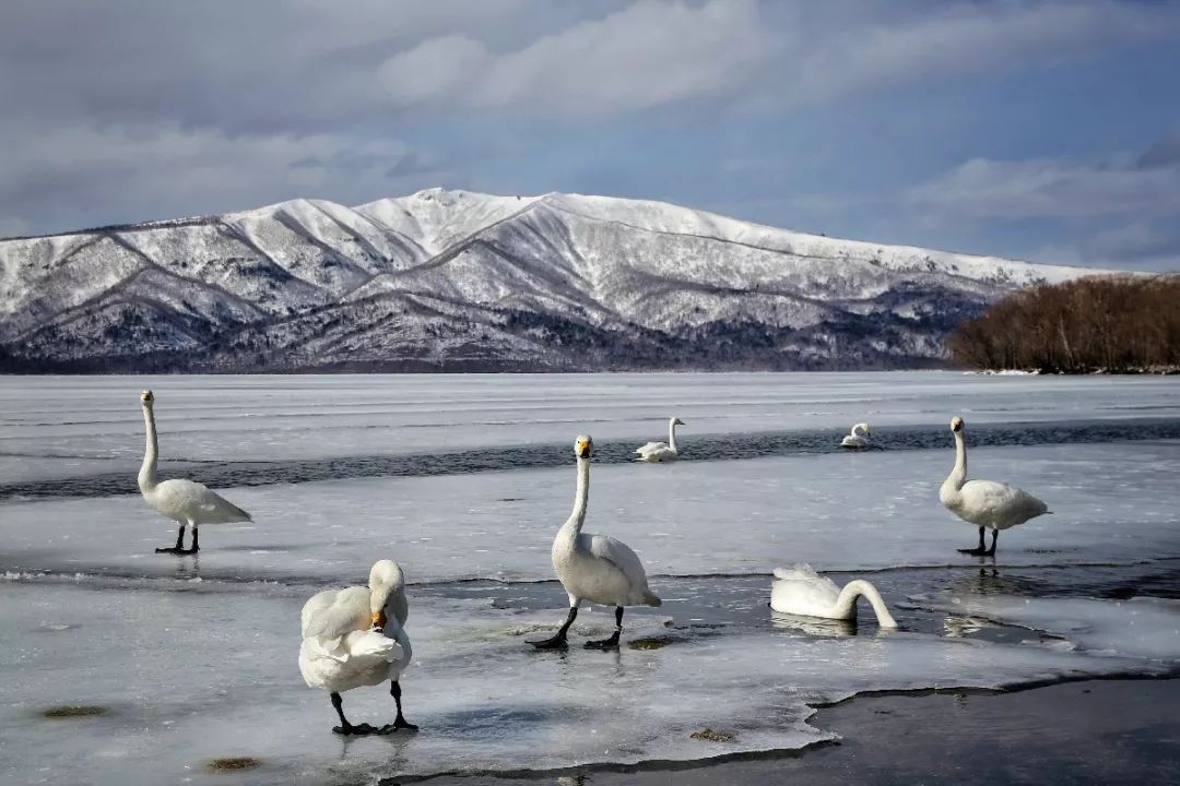 日本最后的秘境,日本最北端北海道