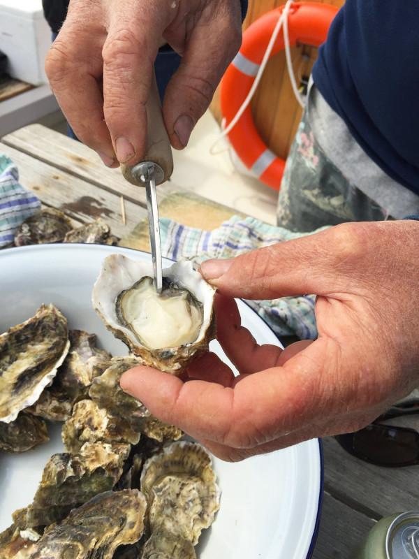 蚝不一样法国生蚝,最好的法国生蚝