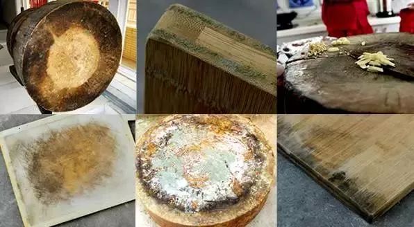 2000亿的细菌,哪种菜板不容易滋生细菌