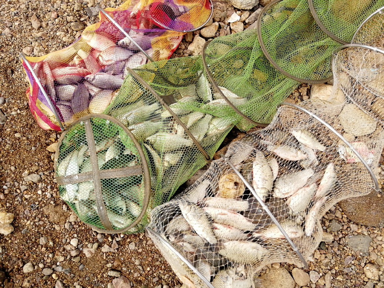 矶竿滑漂新玩法,矶钓滑漂完怎么收竿