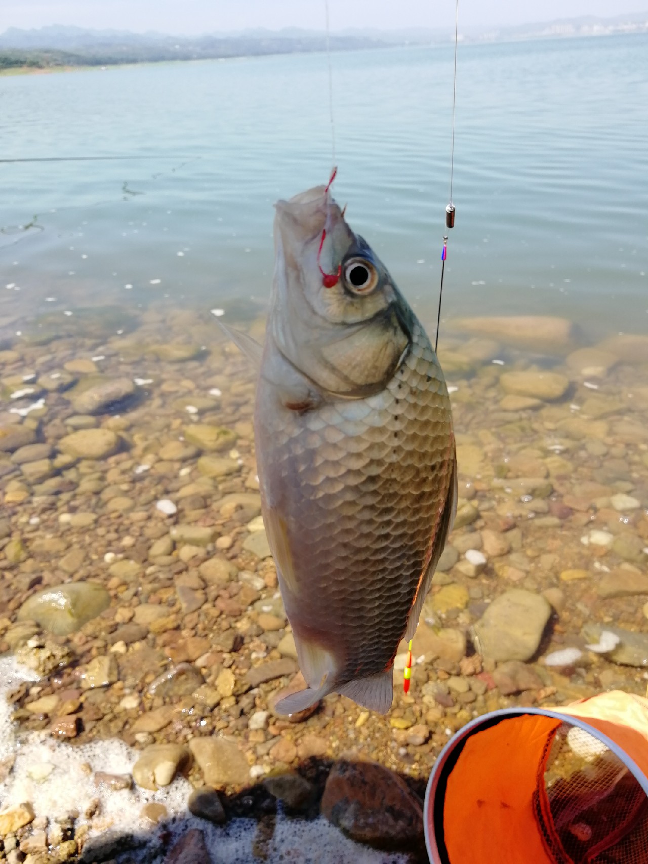 矶竿滑漂新玩法,矶钓滑漂完怎么收竿