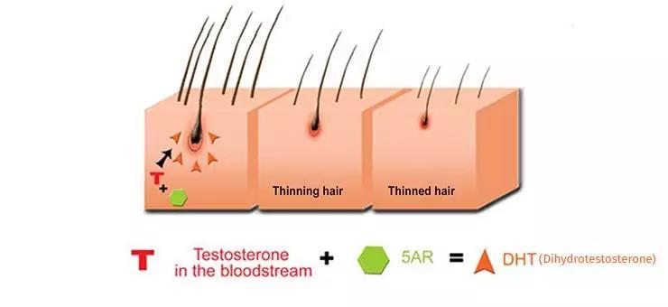 4岁孩子长小胡须,4岁小男孩长小胡须