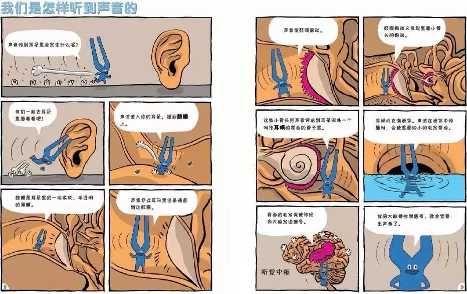 嗯哼4岁就了解飞机起飞原理了！让孩子早点学科学的好处到底在哪里？