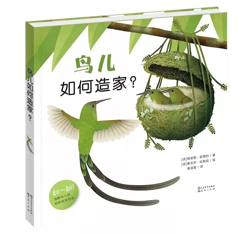 推荐最全儿童绘本书单,绘本阅读每日书单图片