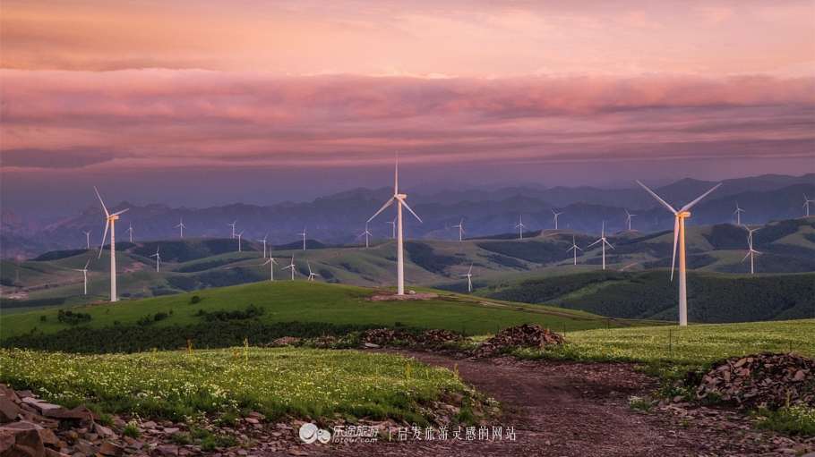 这个夏天来塞罕坝看看吧,坝上草原森林