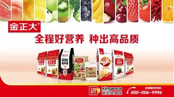 西瓜苗受肥害怎么解,西瓜重茬造成瓜农的损失谁负责