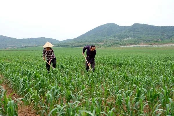 北京海淀对接赤城县扶贫项目,海淀对口扶贫