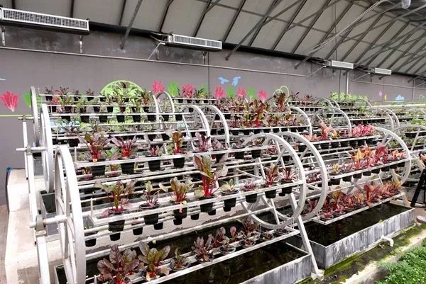 北京海淀对接赤城县扶贫项目,海淀对口扶贫