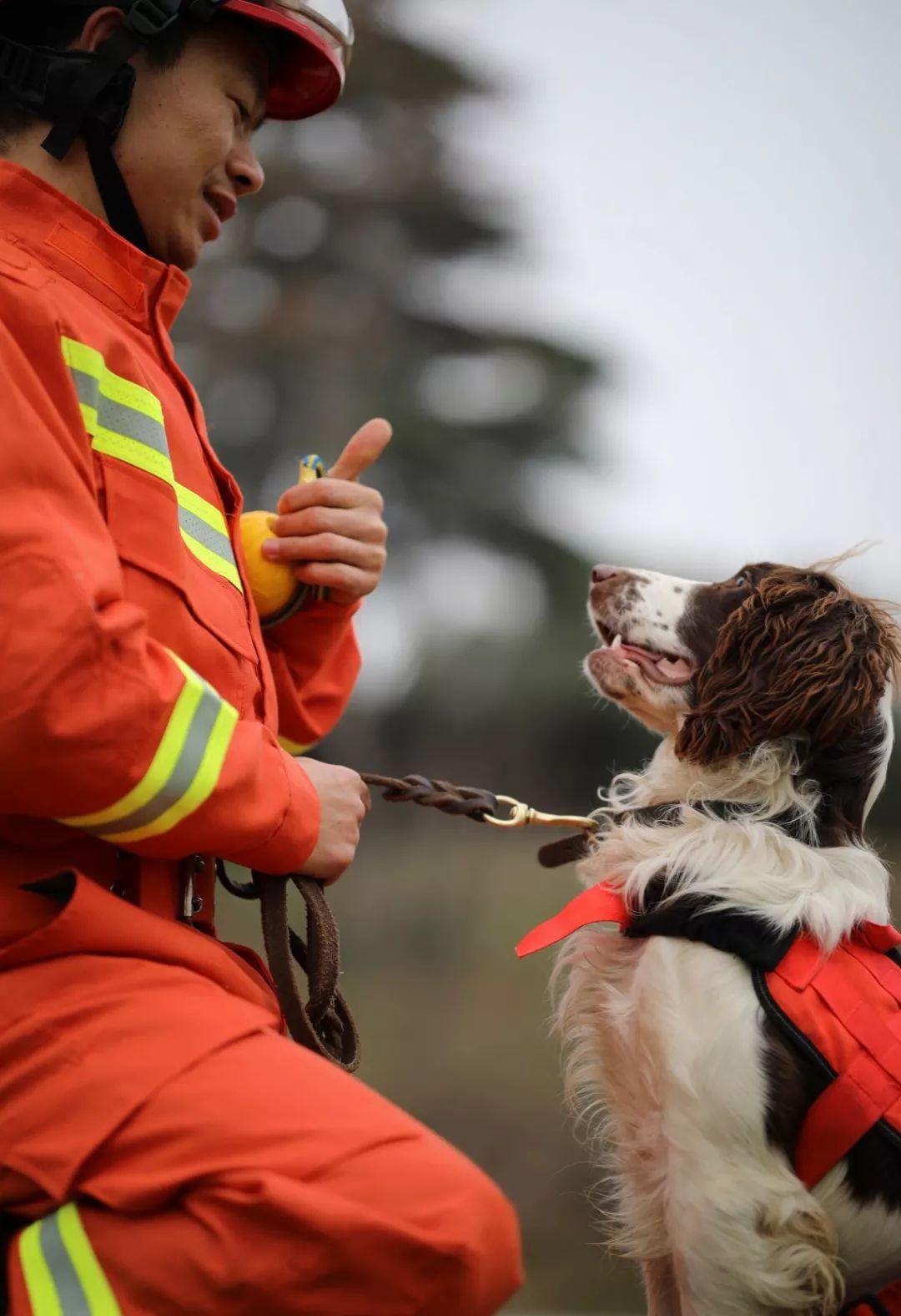 各种夏令营活动集合,夏令营即将开始招生