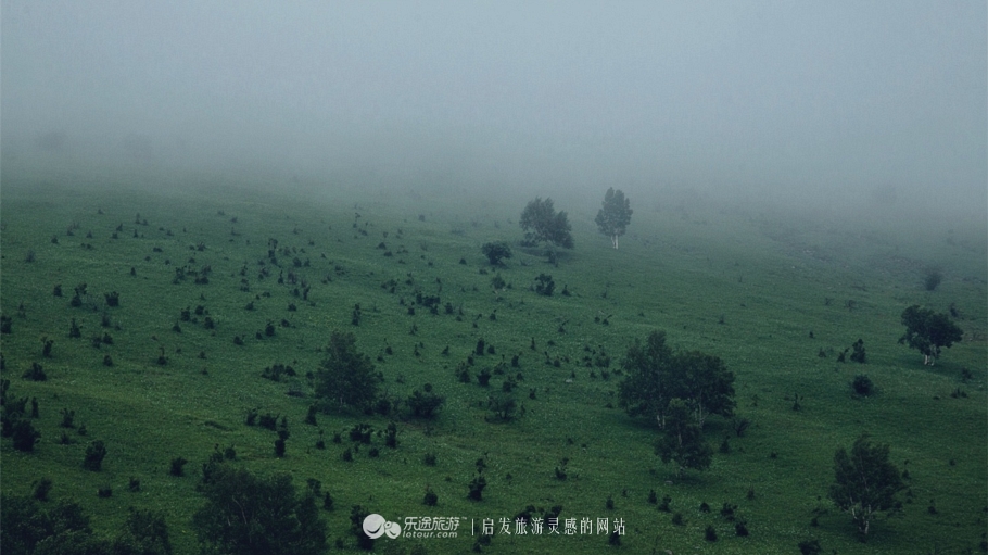 这个夏天来塞罕坝看看吧,坝上草原森林