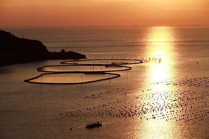 江浙沪适合发呆喝茶的民宿,冬天江浙沪2-3天短途旅游民宿