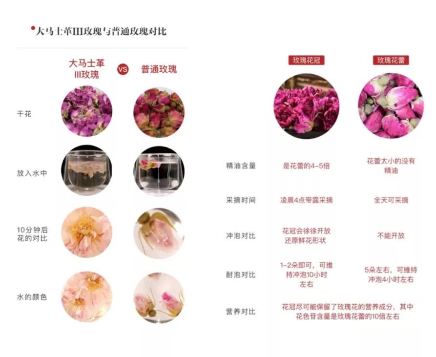 百人减肥大赛,全民减肥大赛