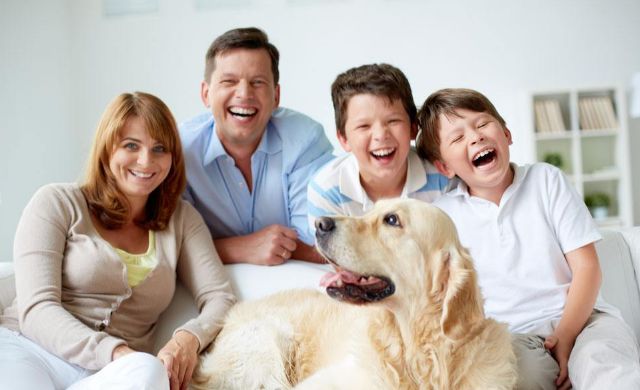 秒除口臭,一秒解决当天口臭