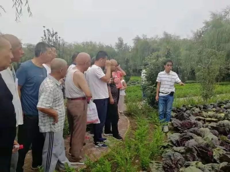 鄂尔多斯智能温室无土栽培,智能温室无土栽培作物有哪些