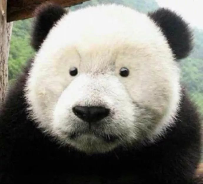 我发现了钢铁直男出轨的细节，结果...太优秀了哈哈哈哈哈哈哈哈哈哈