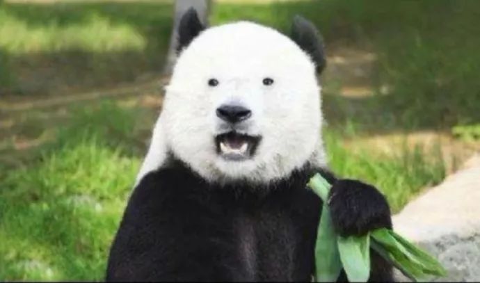 我发现了钢铁直男出轨的细节，结果...太优秀了哈哈哈哈哈哈哈哈哈哈